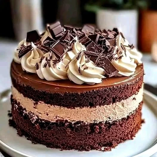 Chocolate Mousse Cake
